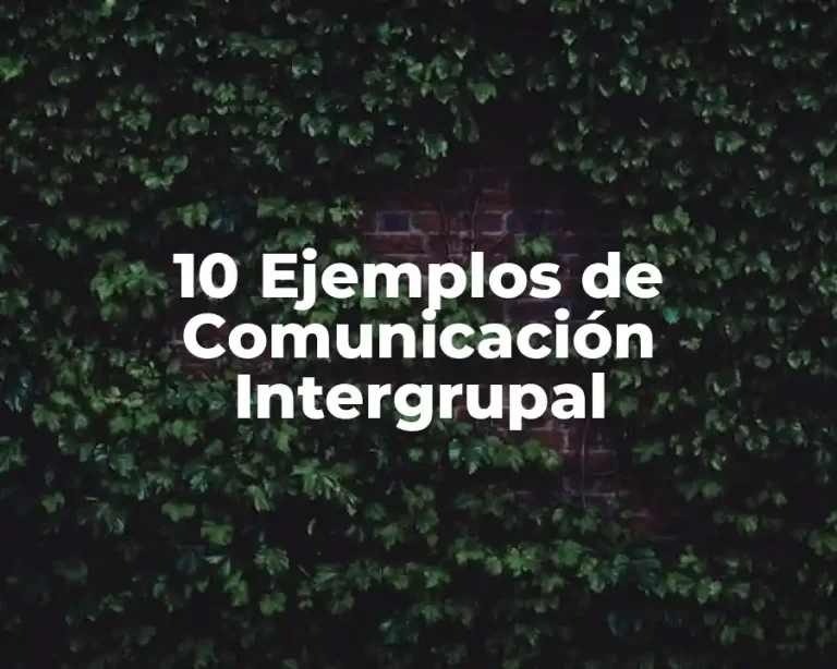 10 Ejemplos de Comunicación Intergrupal