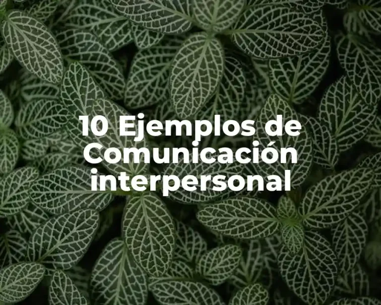 10 Ejemplos de Comunicación interpersonal