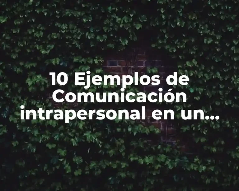 10 Ejemplos de Comunicación intrapersonal en un museo