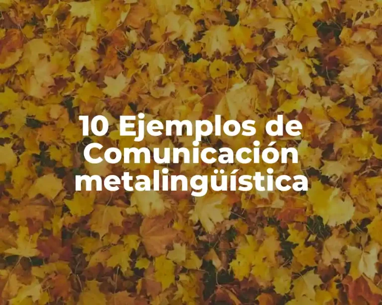 10 Ejemplos de Comunicación metalingüística