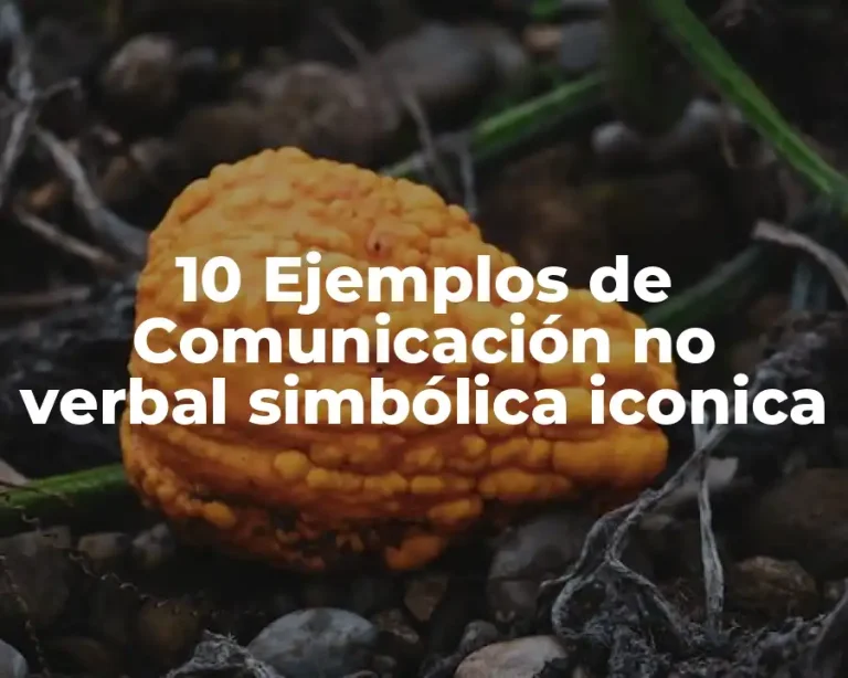 10 Ejemplos de Comunicación no verbal simbólica iconica