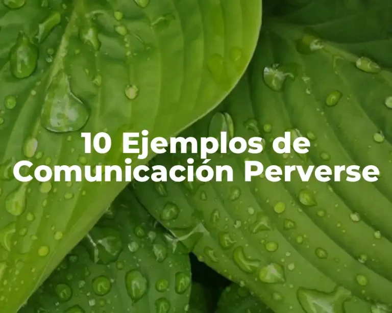 10 Ejemplos de Comunicación Perverse