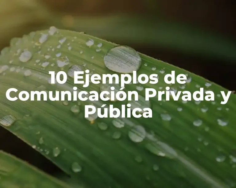 10 Ejemplos de Comunicación Privada y Pública