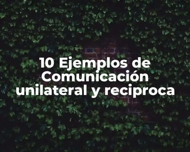 10 Ejemplos de Comunicación unilateral y reciproca