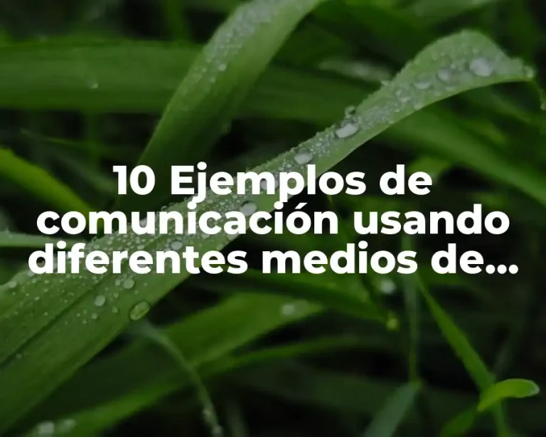 10 Ejemplos de comunicación usando diferentes medios de comunicación