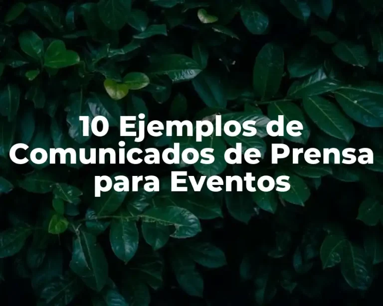 10 Ejemplos de Comunicados de Prensa para Eventos