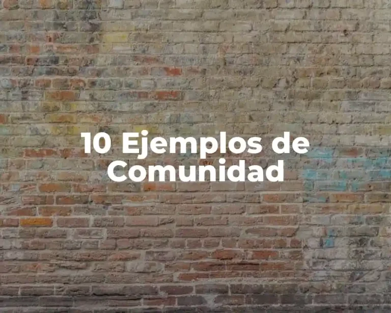 10 Ejemplos de Comunidad