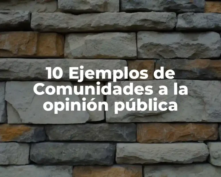 10 Ejemplos de Comunidades a la opinión pública