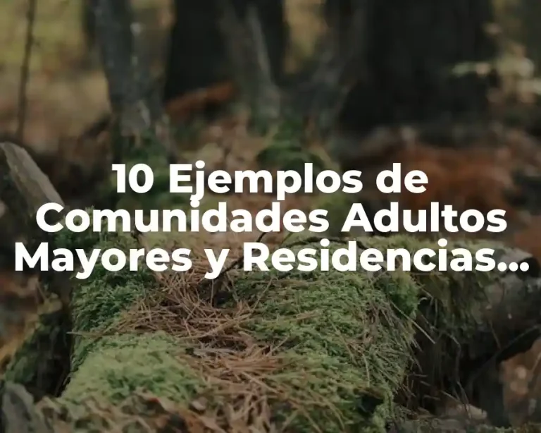 10 Ejemplos de Comunidades Adultos Mayores y Residencias Asistidas