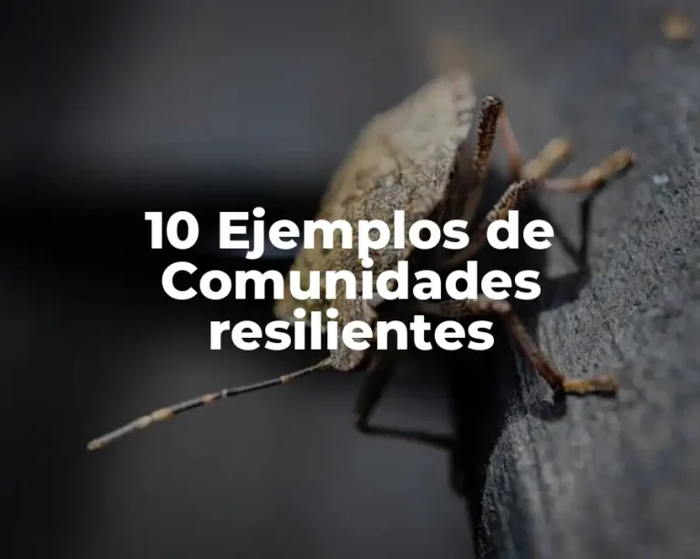 10 Ejemplos de Comunidades resilientes