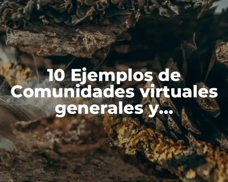 10 Ejemplos de Comunidades virtuales generales y especializadas