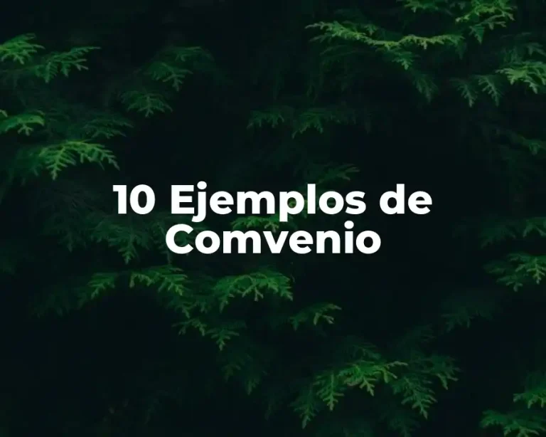 10 Ejemplos de Comvenio