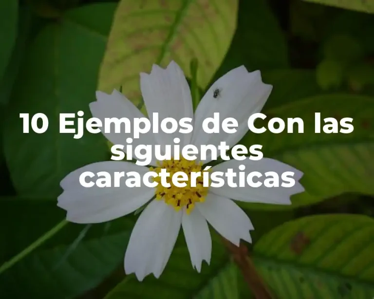 10 Ejemplos de Con las siguientes características