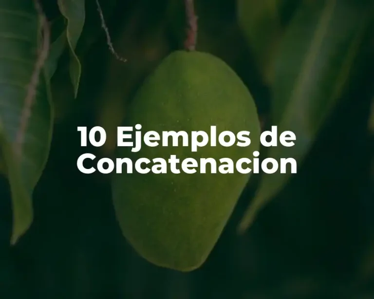 10 Ejemplos de Concatenacion