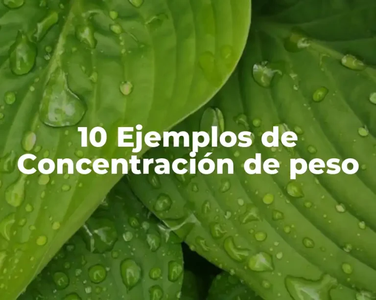 10 Ejemplos de Concentración de peso