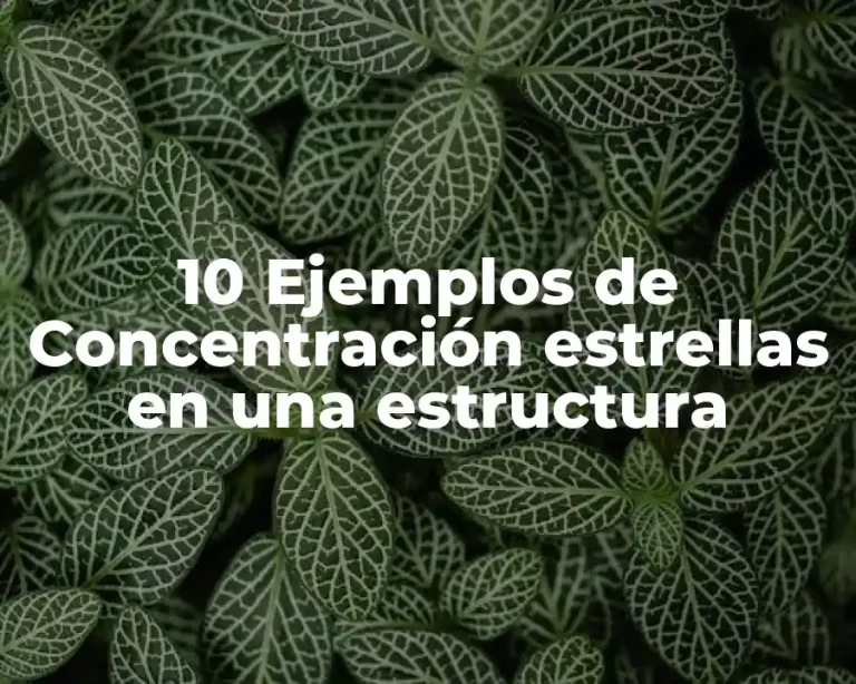 10 Ejemplos de Concentración estrellas en una estructura