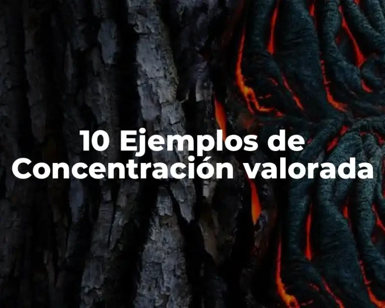 10 Ejemplos de Concentración valorada