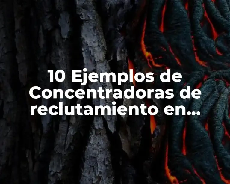 10 Ejemplos de Concentradoras de reclutamiento en México
