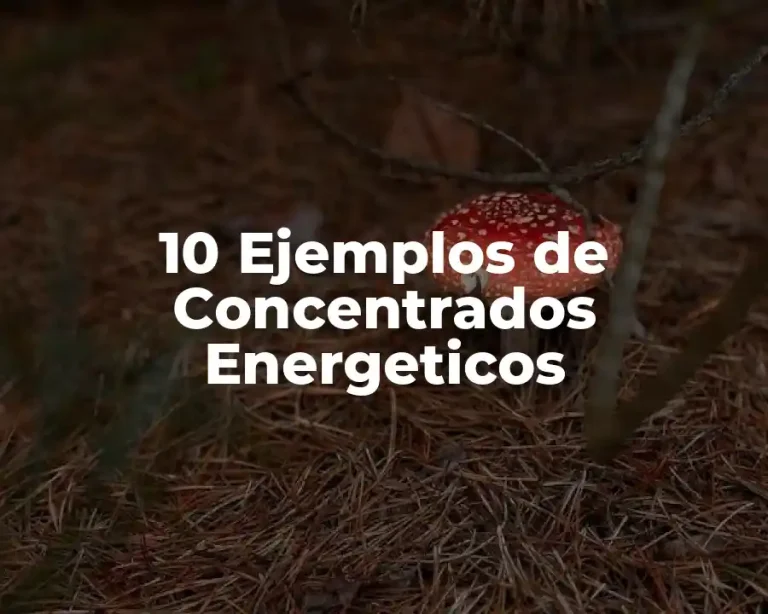 10 Ejemplos de Concentrados Energeticos