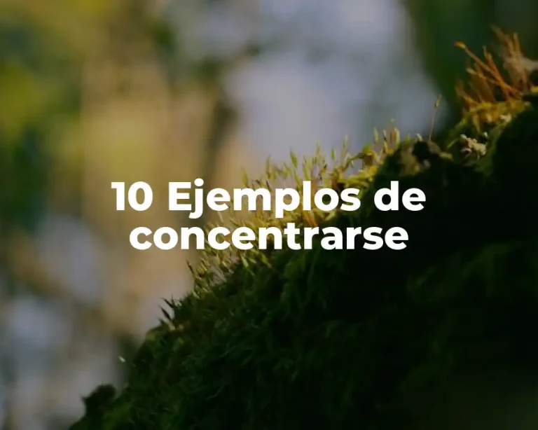 10 Ejemplos de concentrarse