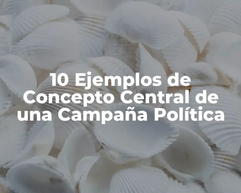 10 Ejemplos de Concepto Central de una Campaña Política