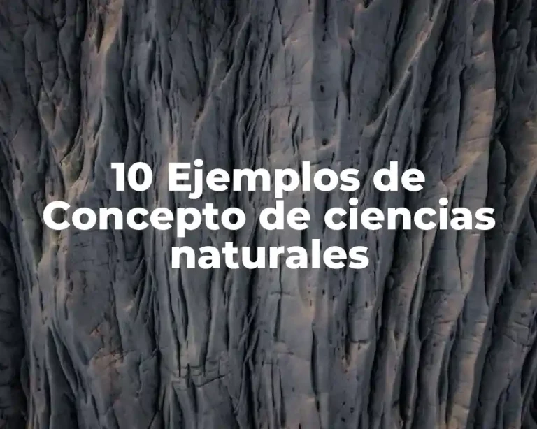 10 Ejemplos de Concepto de ciencias naturales