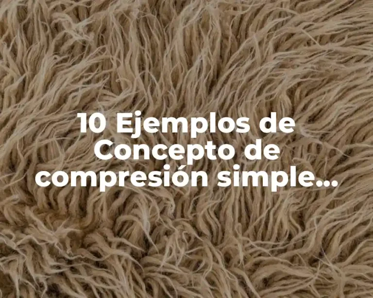 10 Ejemplos de Concepto de compresión simple logica