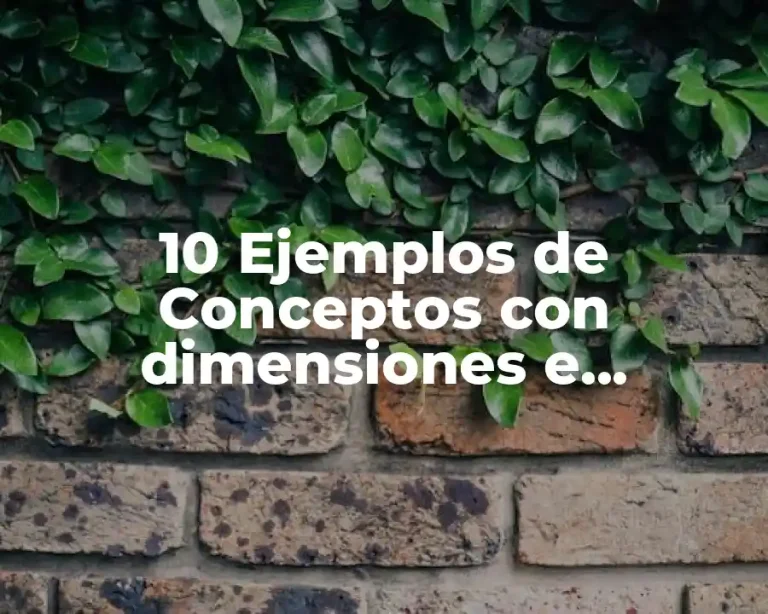 10 Ejemplos de Conceptos con dimensiones e indicadores