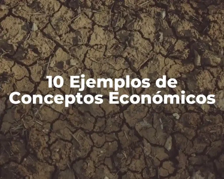 10 Ejemplos de Conceptos Económicos