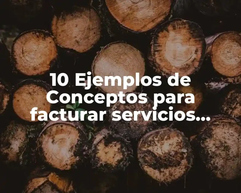 10 Ejemplos de Conceptos para facturar servicios profesionales