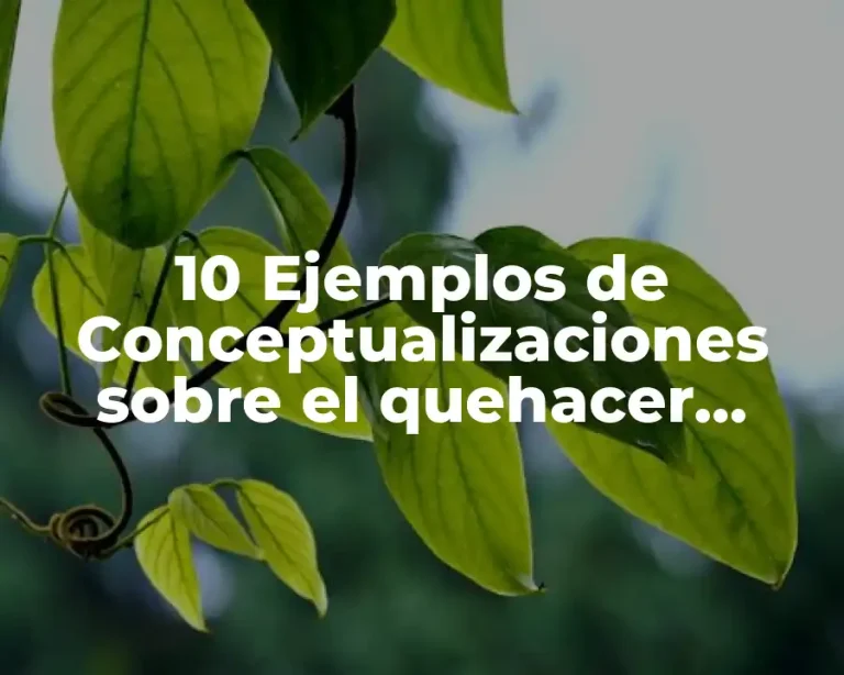 10 Ejemplos de Conceptualizaciones sobre el quehacer docente
