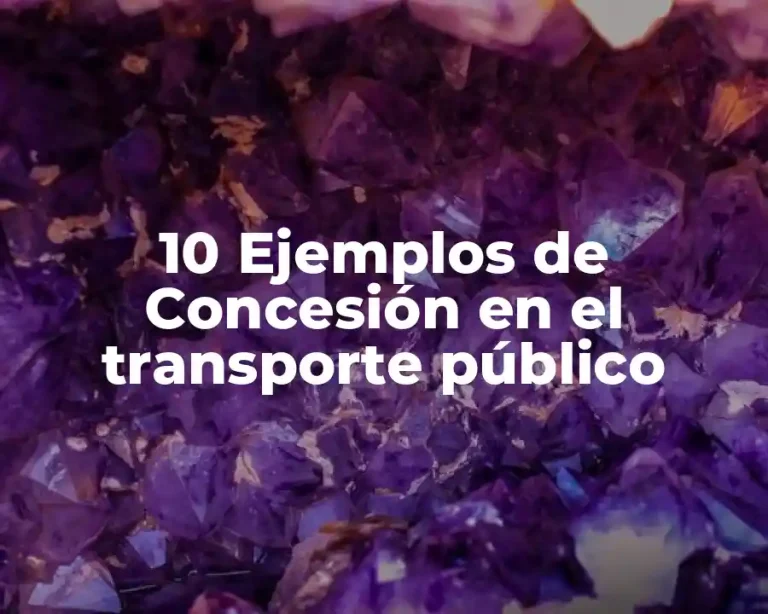 10 Ejemplos de Concesión en el transporte público
