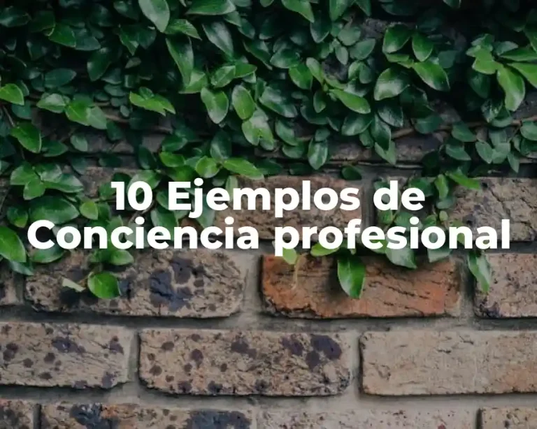 10 Ejemplos de Conciencia profesional