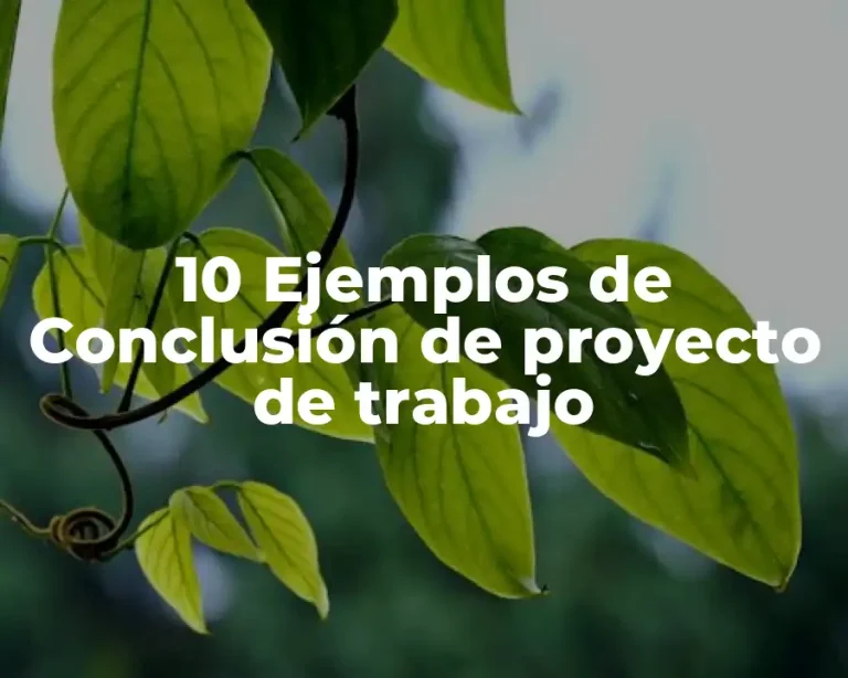 10 Ejemplos de Conclusión de proyecto de trabajo