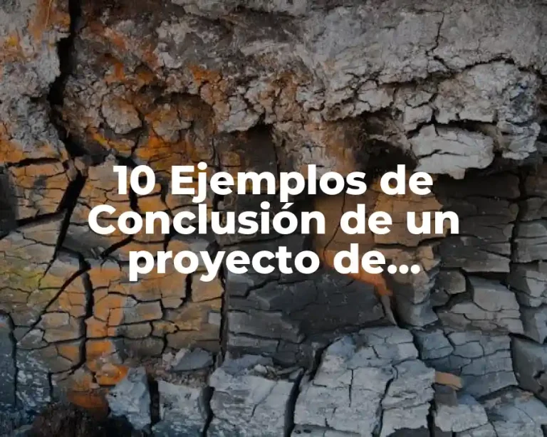 10 Ejemplos de Conclusión de un proyecto de investigación de Acapulco