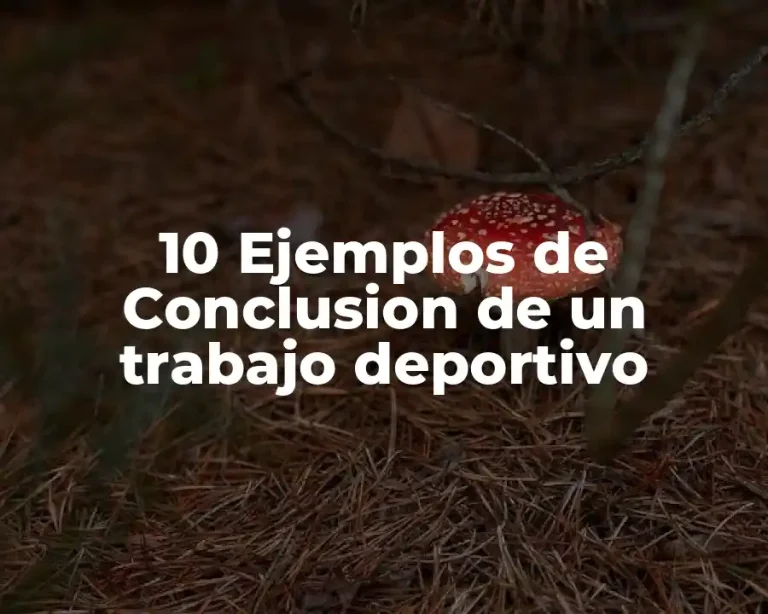 10 Ejemplos de Conclusion de un trabajo deportivo