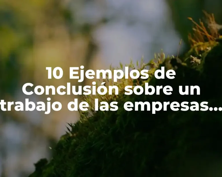10 Ejemplos de Conclusión sobre un trabajo de las empresas familiares