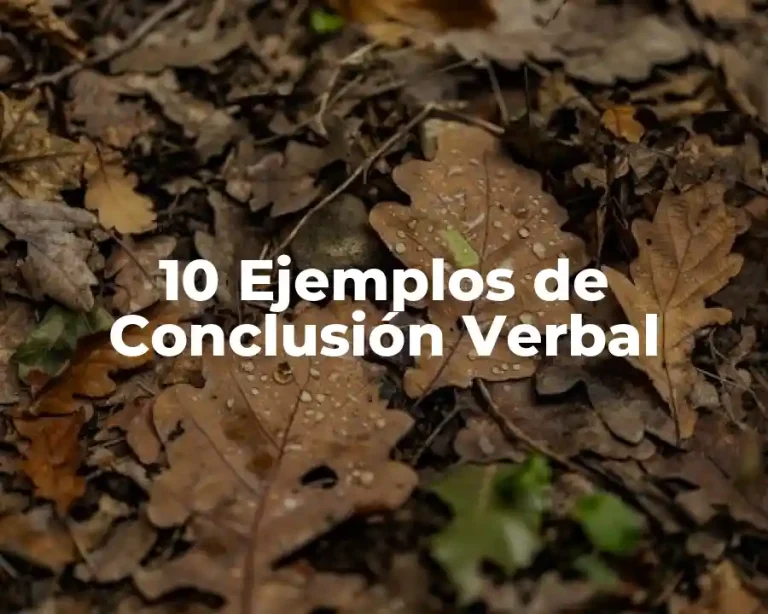 10 Ejemplos de Conclusión Verbal