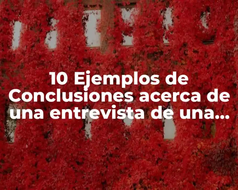 10 Ejemplos de Conclusiones acerca de una entrevista de una empresa