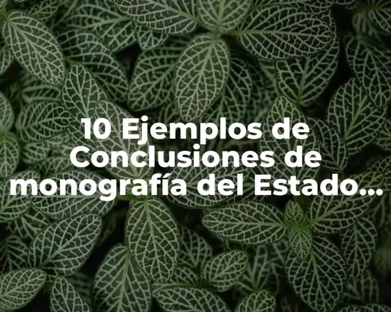 10 Ejemplos de Conclusiones de monografía del Estado de México