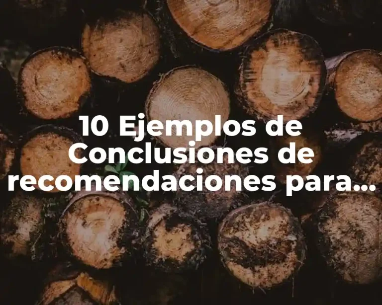 10 Ejemplos de Conclusiones de recomendaciones para una empresa