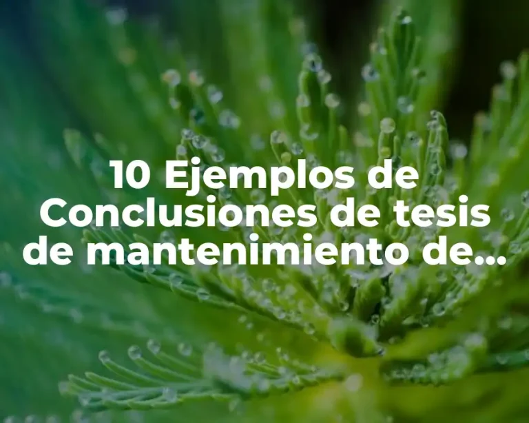10 Ejemplos de Conclusiones de tesis de mantenimiento de hogares