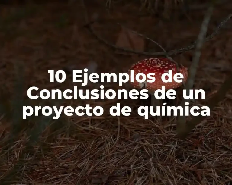 10 Ejemplos de Conclusiones de un proyecto de química