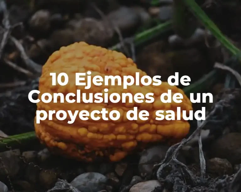 10 Ejemplos de Conclusiones de un proyecto de salud
