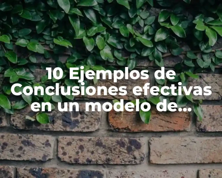 10 Ejemplos de Conclusiones efectivas en un modelo de negocios