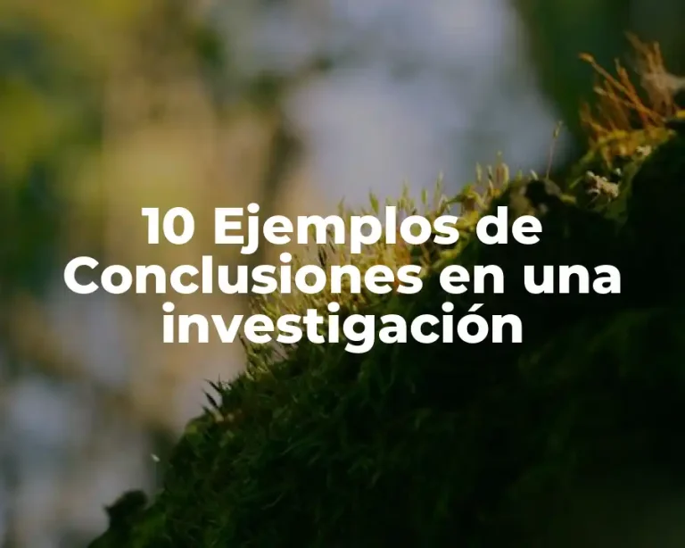 10 Ejemplos de Conclusiones en una investigación