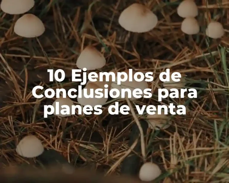 10 Ejemplos de Conclusiones para planes de venta