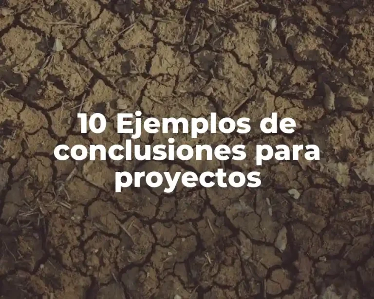 10 Ejemplos de conclusiones para proyectos