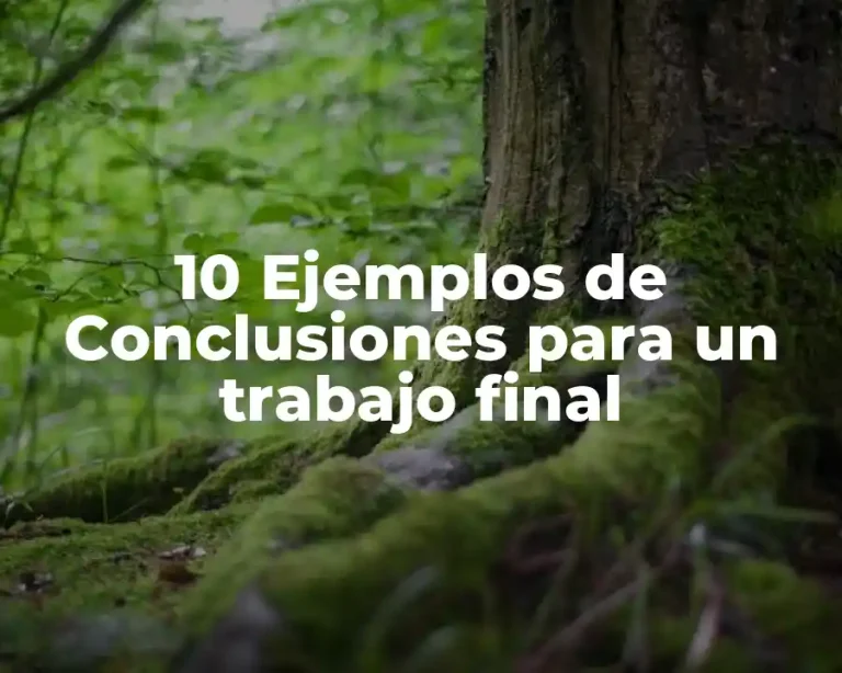 10 Ejemplos de Conclusiones para un trabajo final