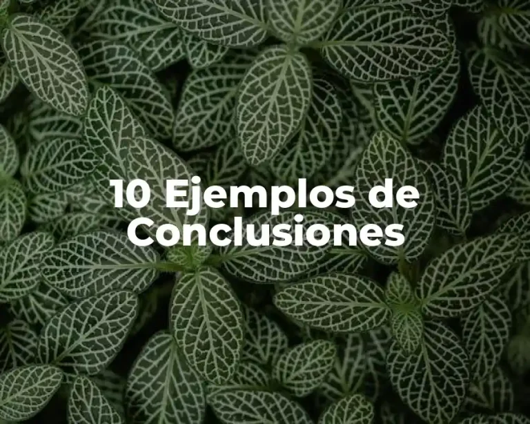 10 Ejemplos de Conclusiones
